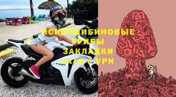 прущая мука Алзамай