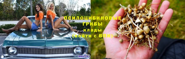 jwh Абаза