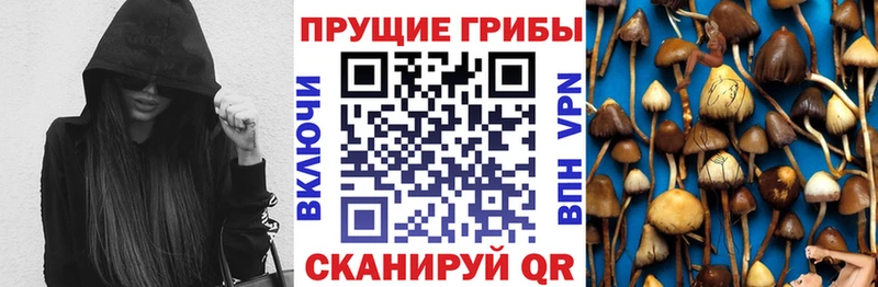 Галлюциногенные грибы мухоморы купить сайты Киров